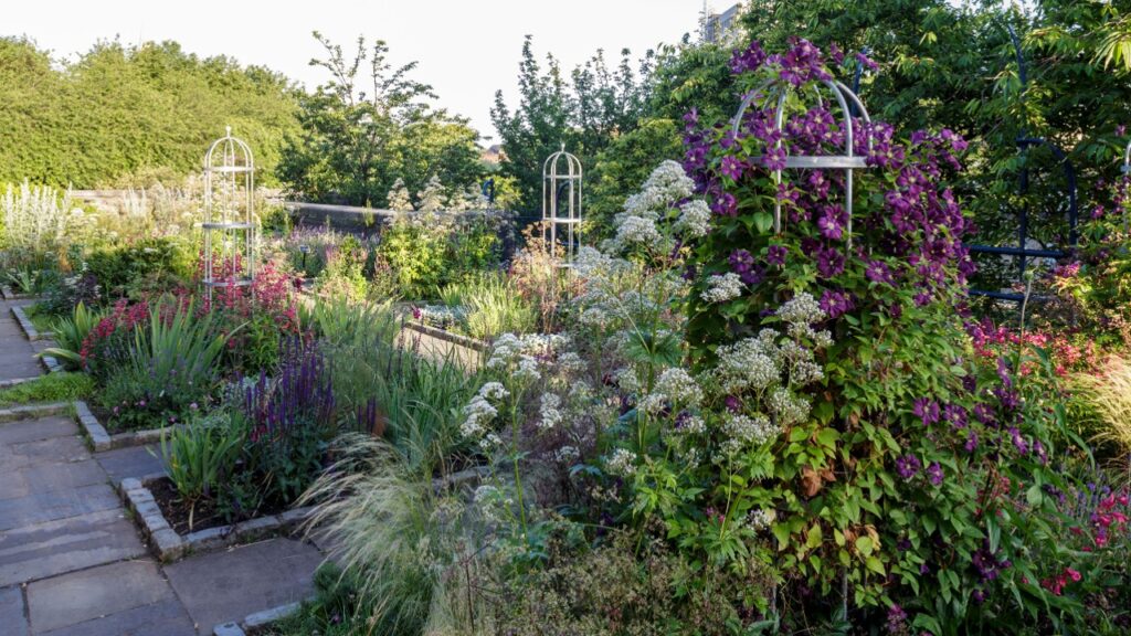 Comment créer son jardin sensoriel adapté aux enfants